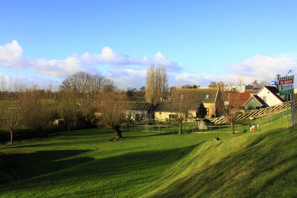 By Jan dijkstra (Own work) [CC BY-SA 3.0 (http://creativecommons.org/licenses/by-sa/3.0)], via Wikimedia Commons