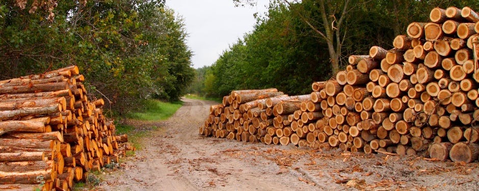 'Overheden schenden inkoopregels duurzaam hout'