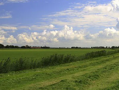 Door agrarische gronden strategisch op te kopen hoopt het rijk dat andere grond makkelijker beschikbaar komt voor belangrijke maatschappelijke bestemmingen.