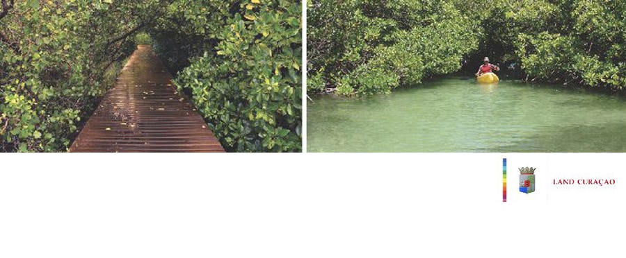 Aanbesteding Mangrovepark Rifgebied CURAÇAO