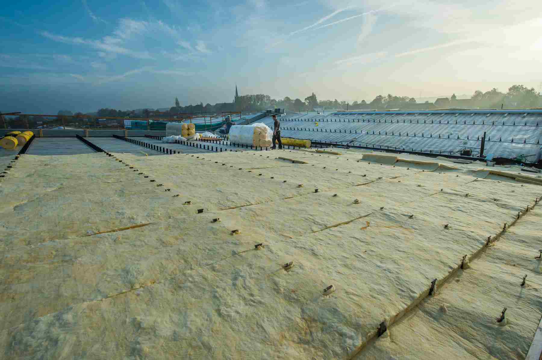 Foto: Martin Mooij