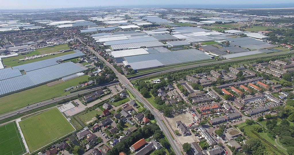 Wiki Commons - Hanno Lans