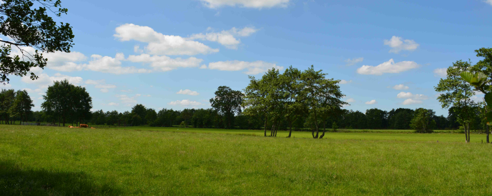 Kopersvereniging De Peinder Mieden