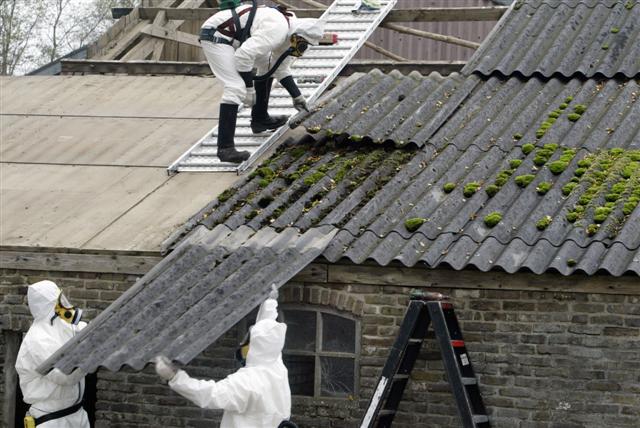 Foto: Sjef Prins - APA Foto