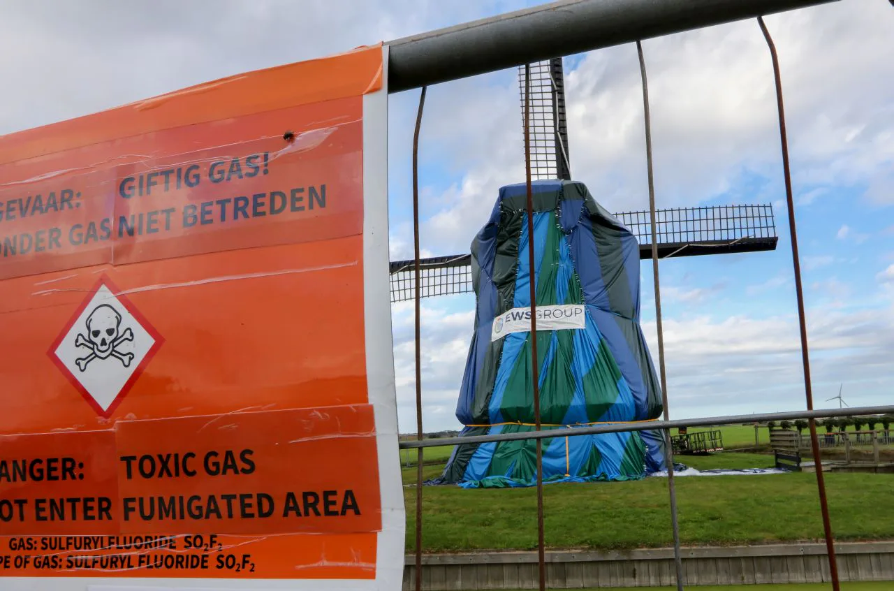 Foto: Martin Mooij