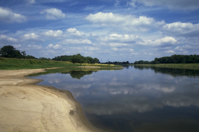 Die Elbe bei Breitenhagen/Saalemündung, Biosphärenreservat Mittlere Elbe