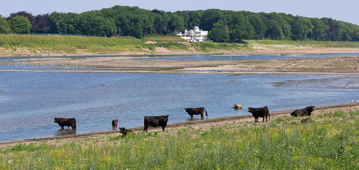 Natura 2000-gebied Grensmaas. Foto: Archief