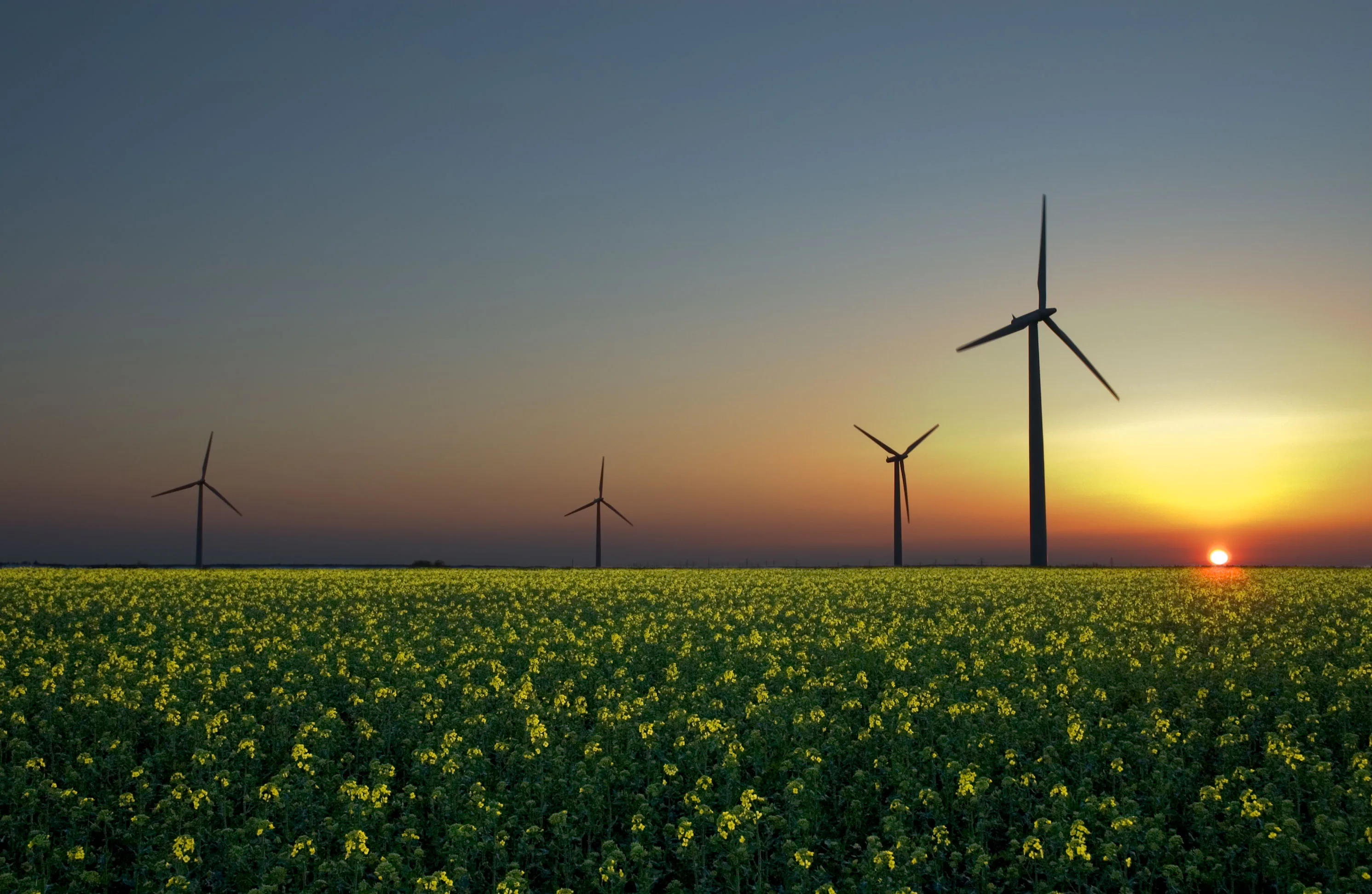 Omdat er dit jaar ook een flink aantal oudere windmolens gesloopt wordt, zal het opgesteld vermogen in 2026 waarschijnlijk afnemen.