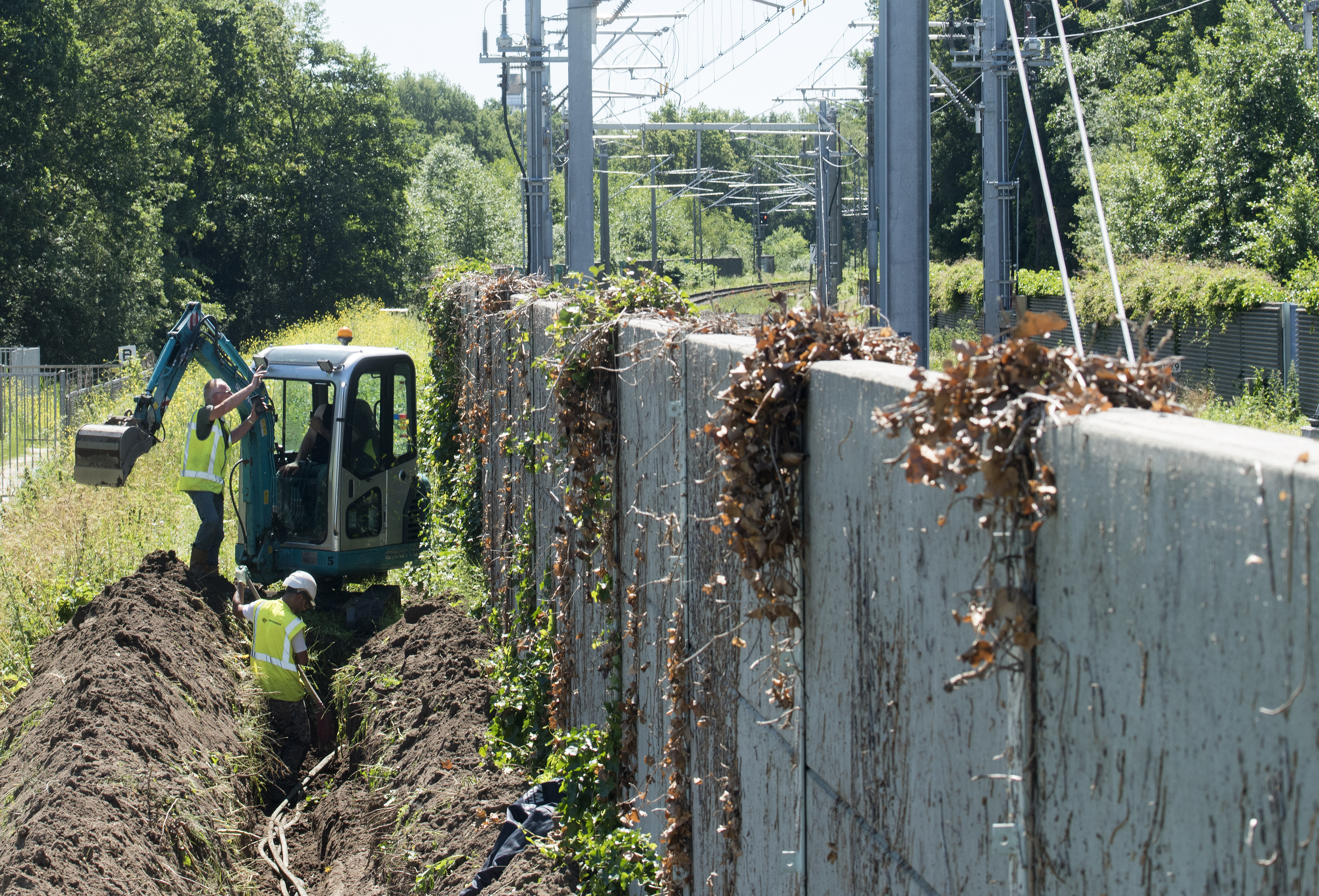 Foto: Ruben Meijerink / APA FOTO