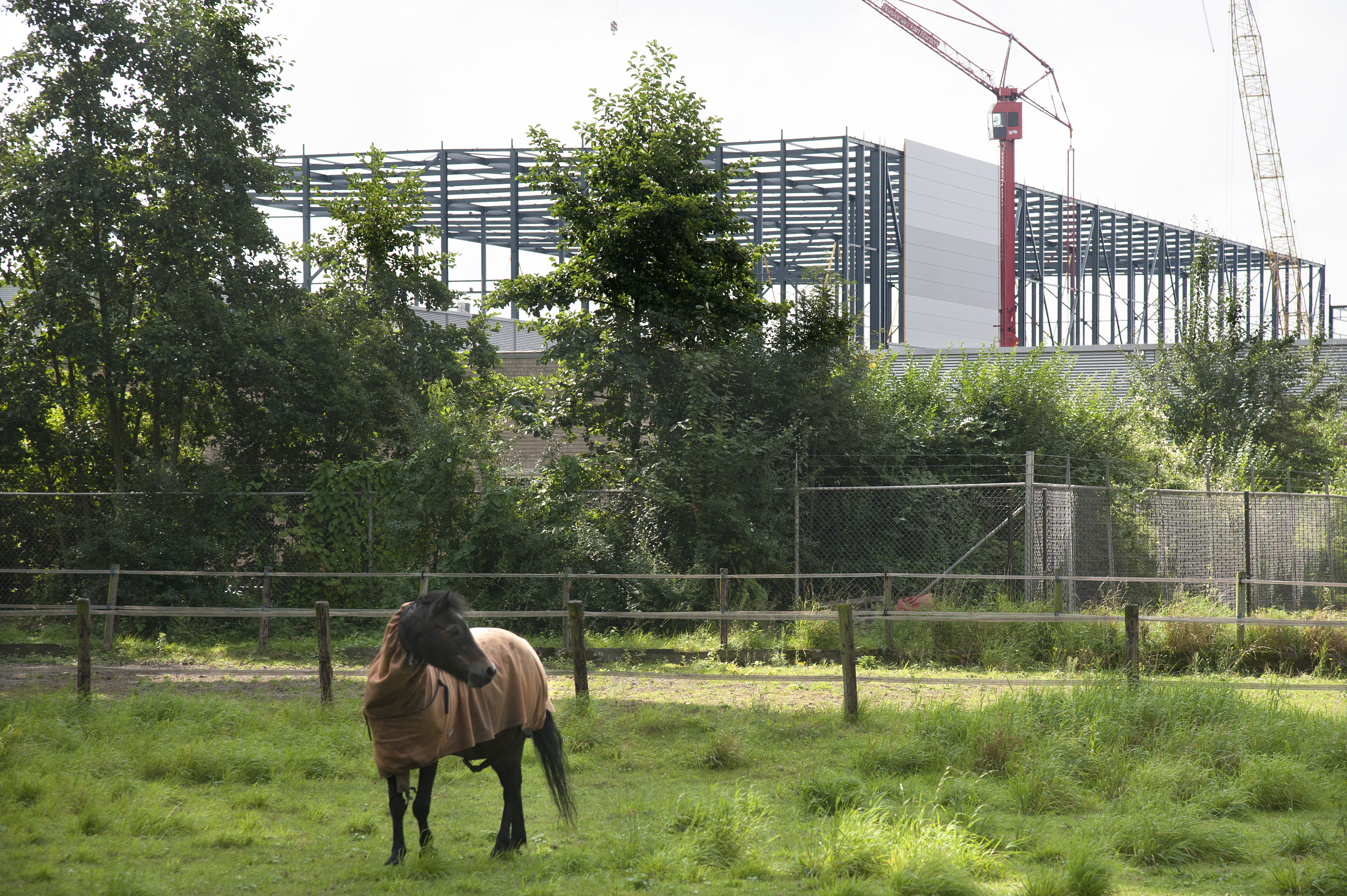 Foto: Ries van Wendel de Joode
