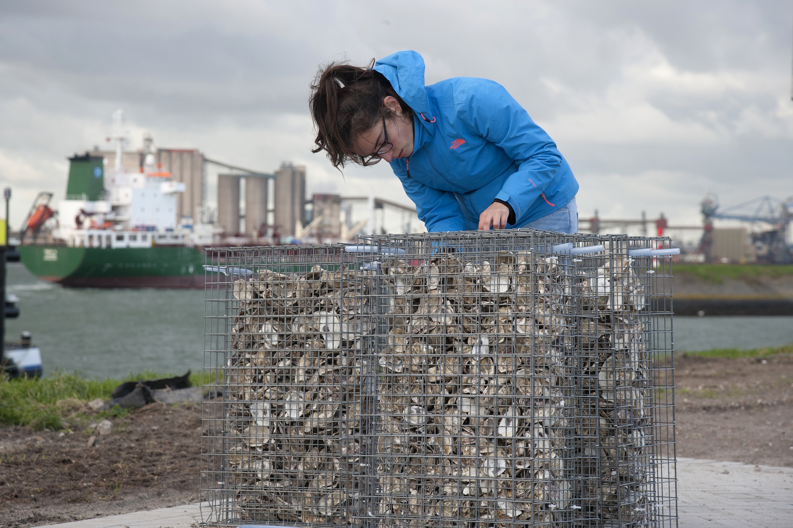 Rotterdam Rozenburg 23 oktober 2017.
Plaatsing biohutten van de Franse producent Ecocean in het Calandkanaal
Foto Ries van Wendel de Joode/HBR