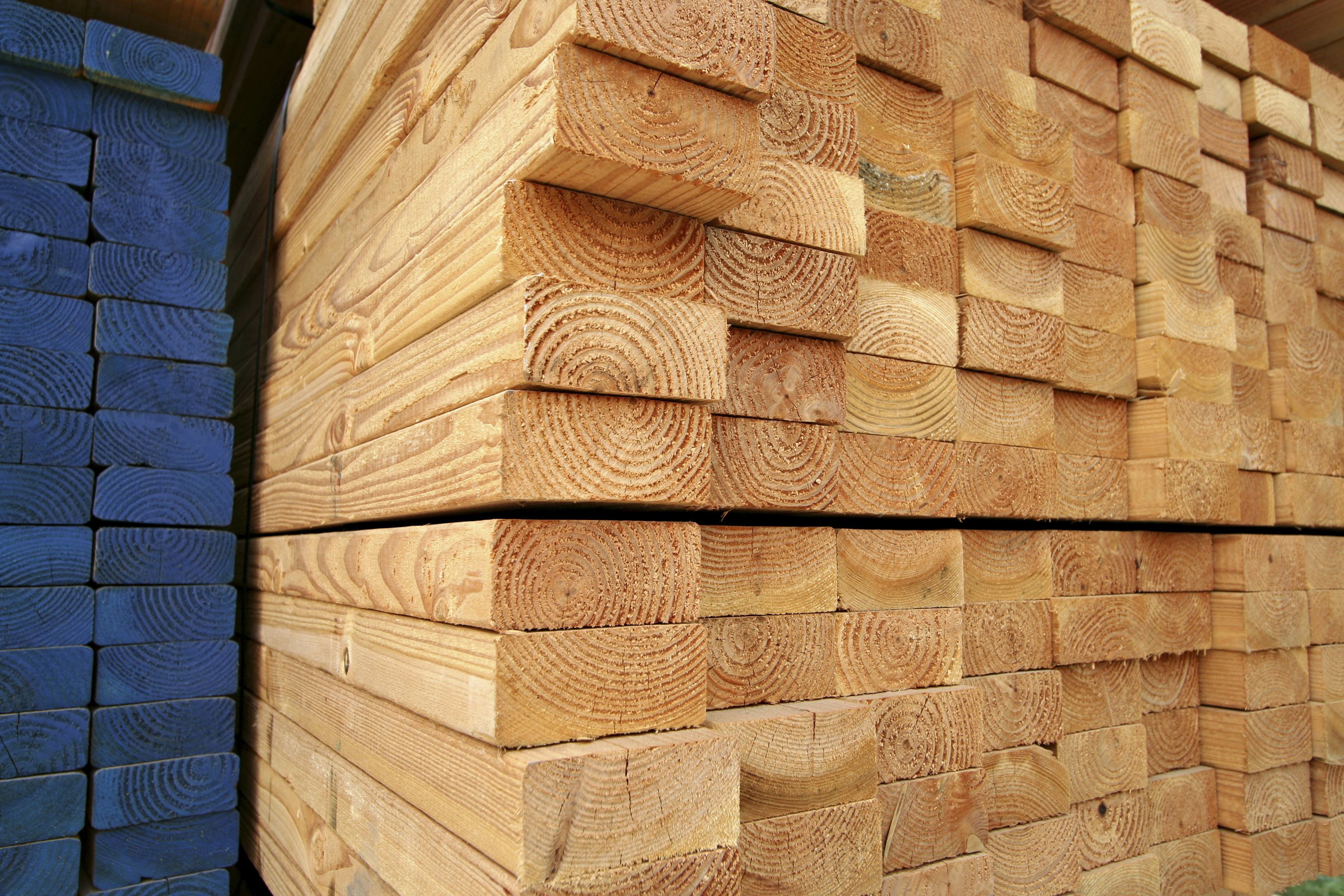Nieuw houtkeurmerk: 'nu kunnen ook kleine bedrijven verduurzamen'