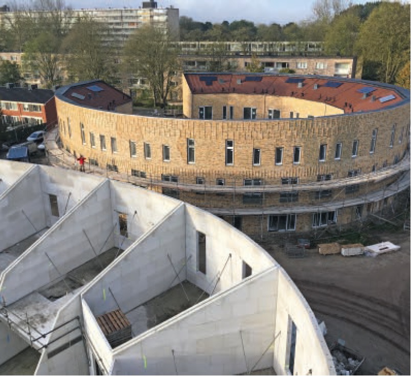 De mooie volgroeide platanen inspireerden de architect bij het ontwerp van de vier ovale woonblokken in de Haarlemse Europawijk.