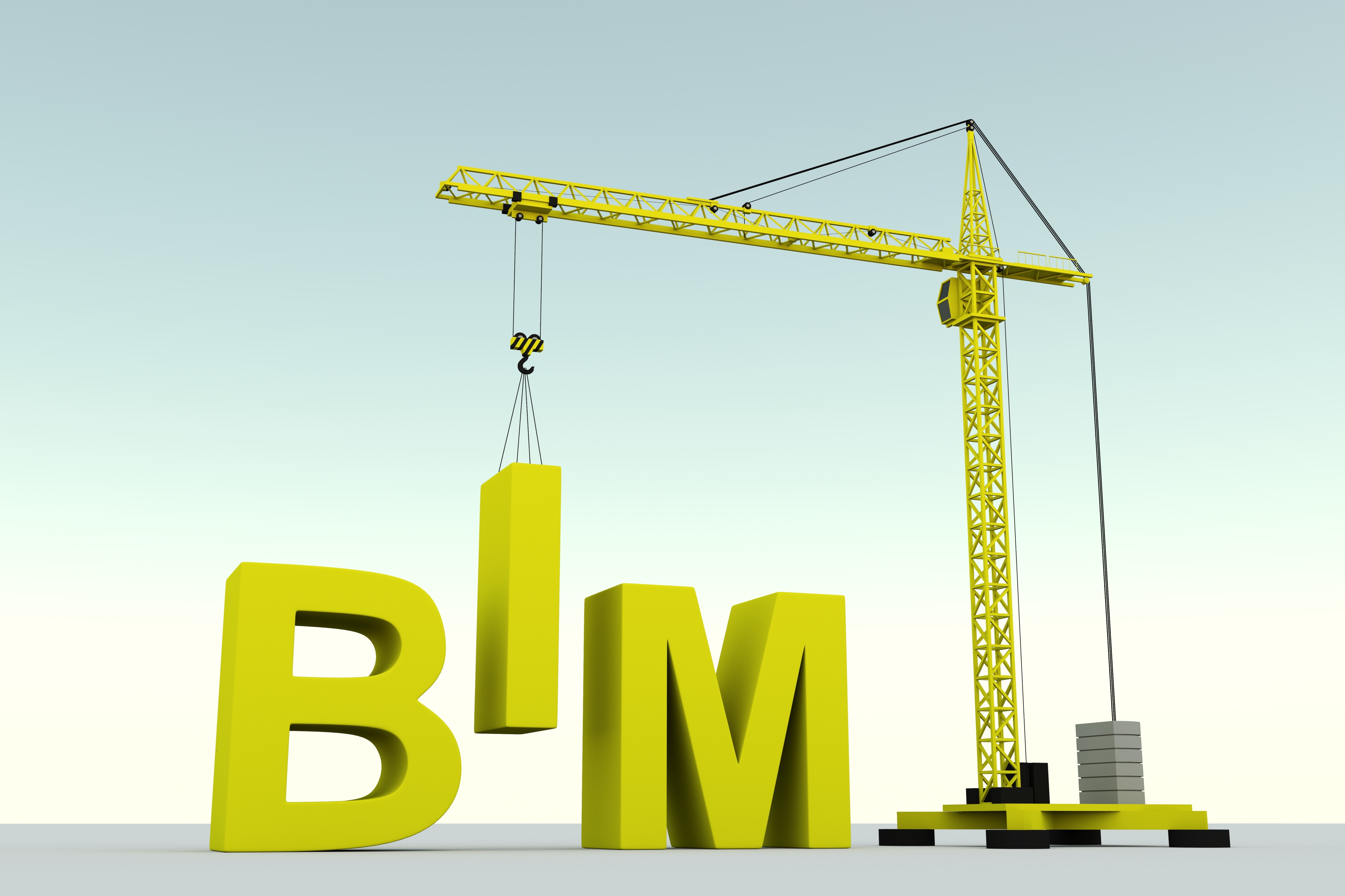 BIM