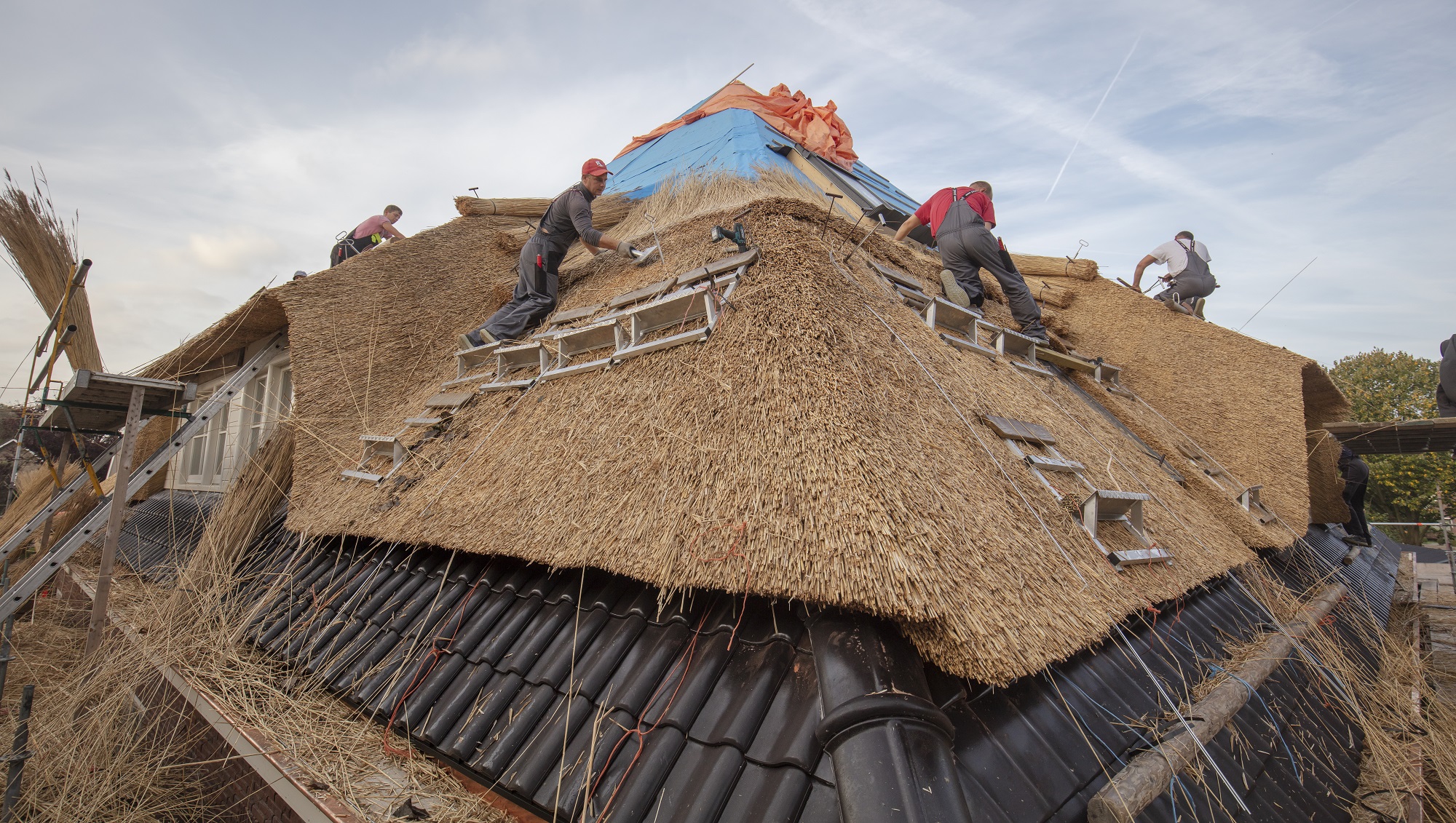 Foto: Martin Mooij