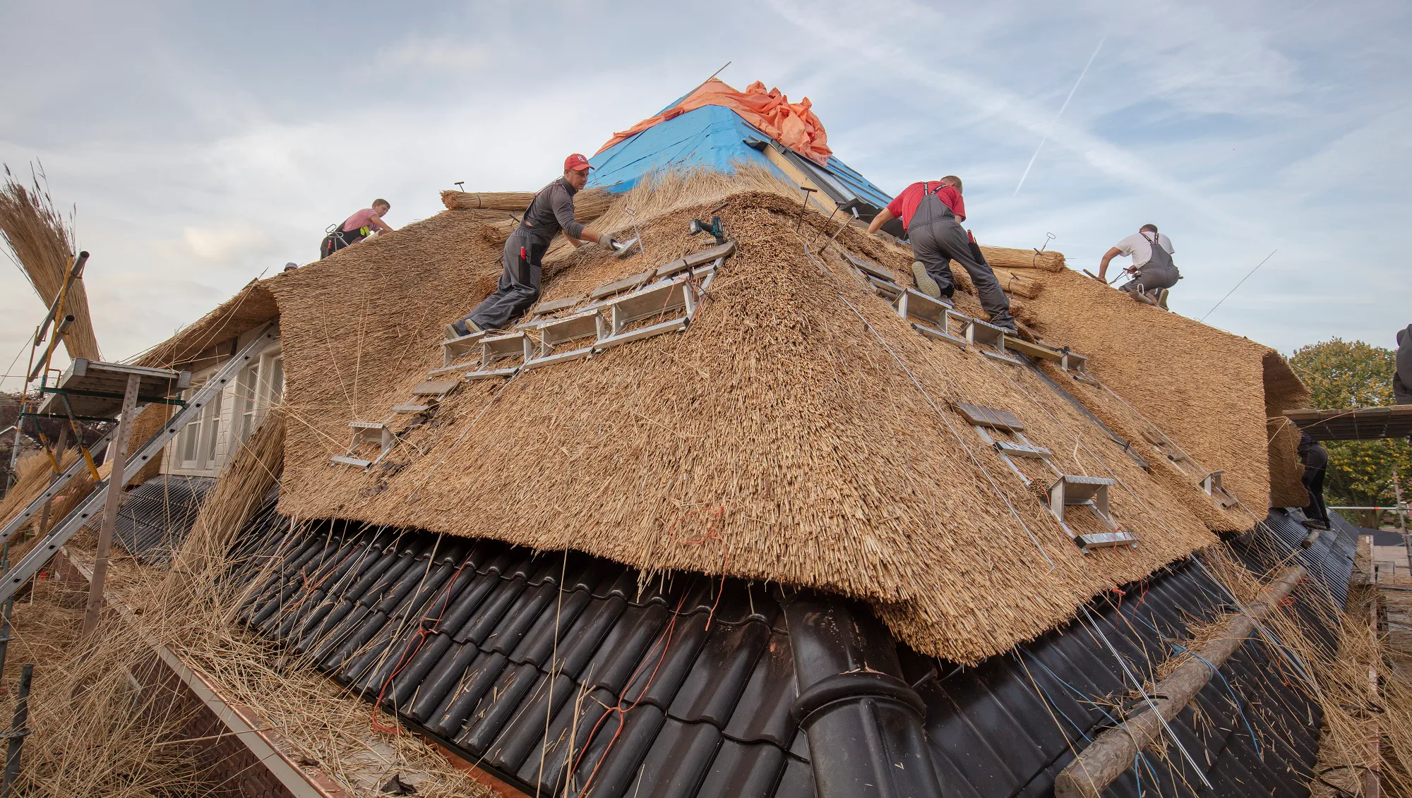Foto: Martin Mooij