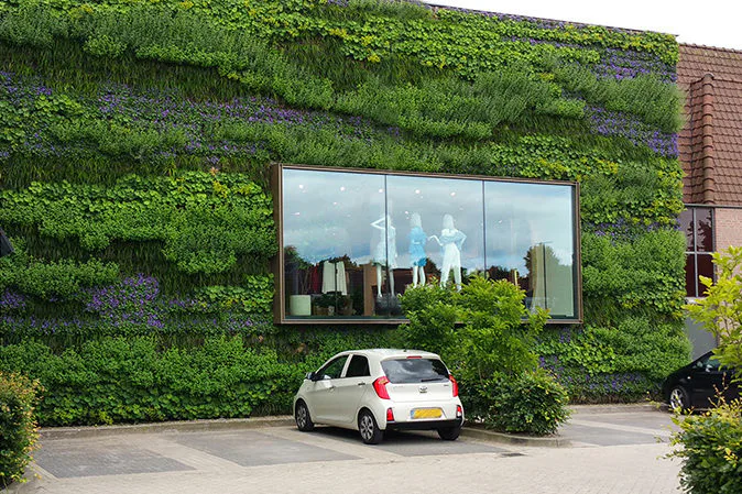 Groene gevel voor betere leefomgeving