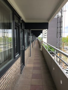 Zoontjens