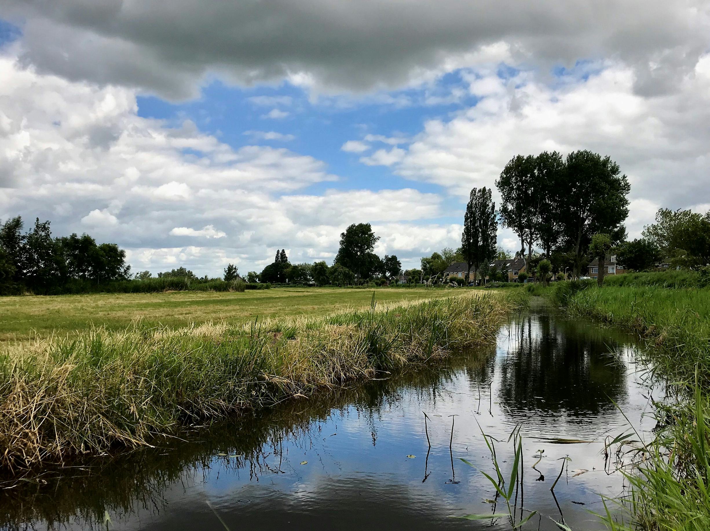 In Krommenie komt een woonwijk te liggen langs bloemrijke graslanden. Foto: Staatsbosbeheer | Robert Graat.