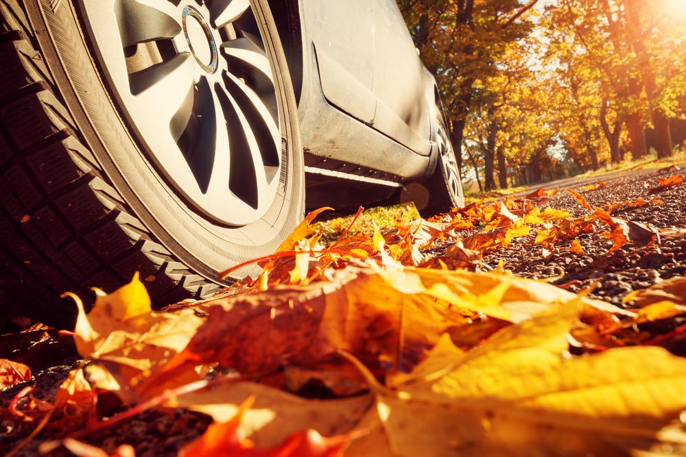 Hoe ga je in de herfst veilig de weg op?