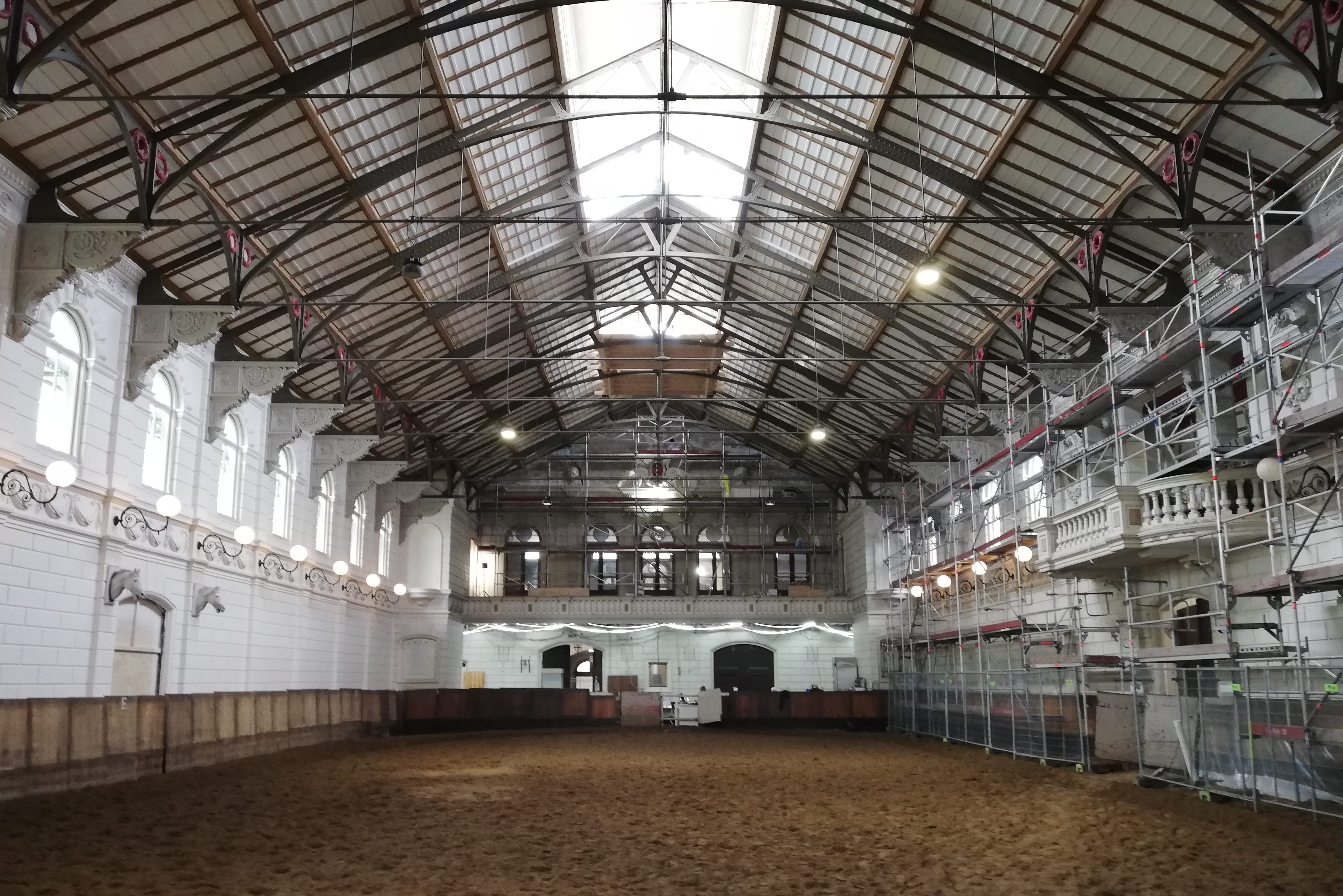 Nieuwsgierige paarden volgen renovatie Hollandsche Manege