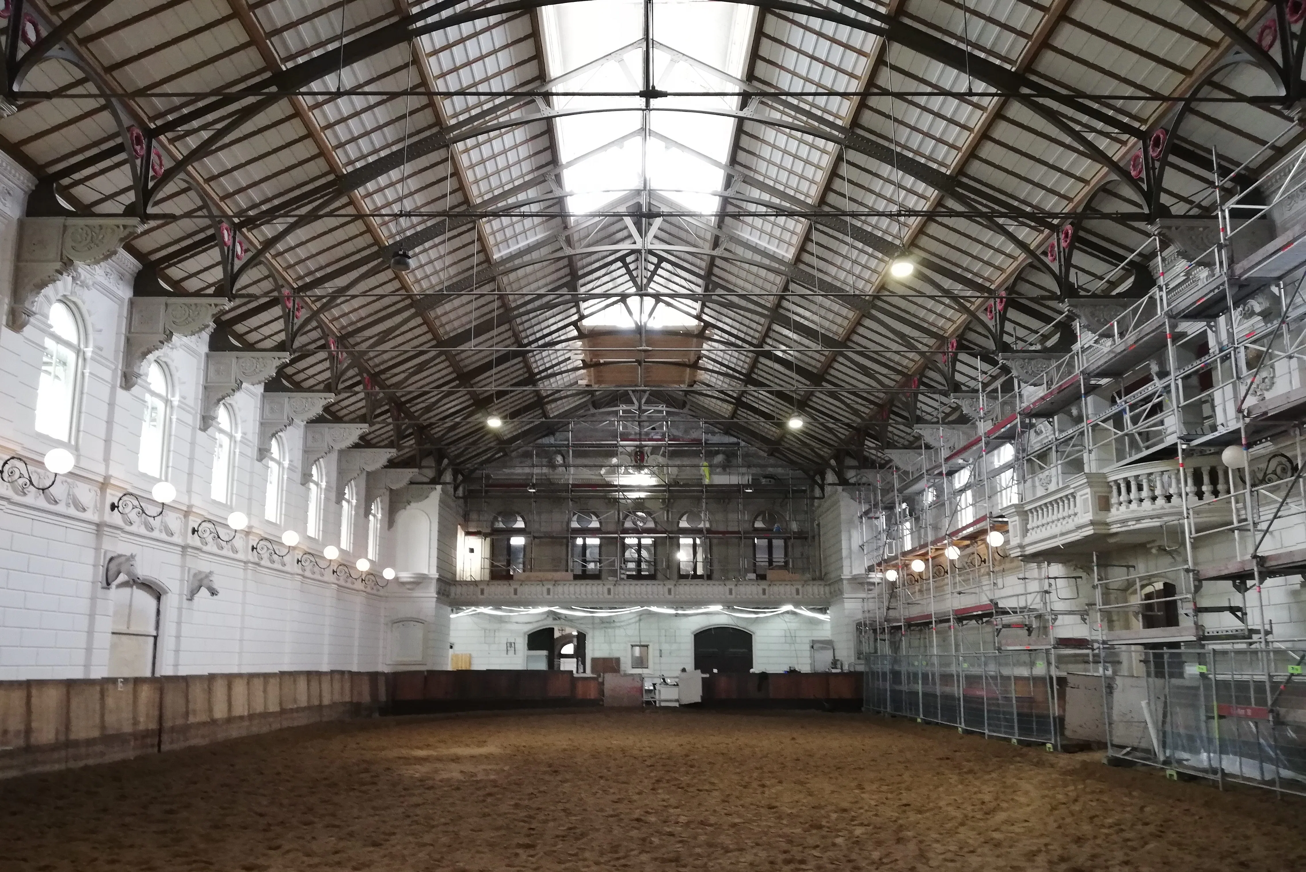 Nieuwsgierige paarden volgen renovatie Hollandsche Manege