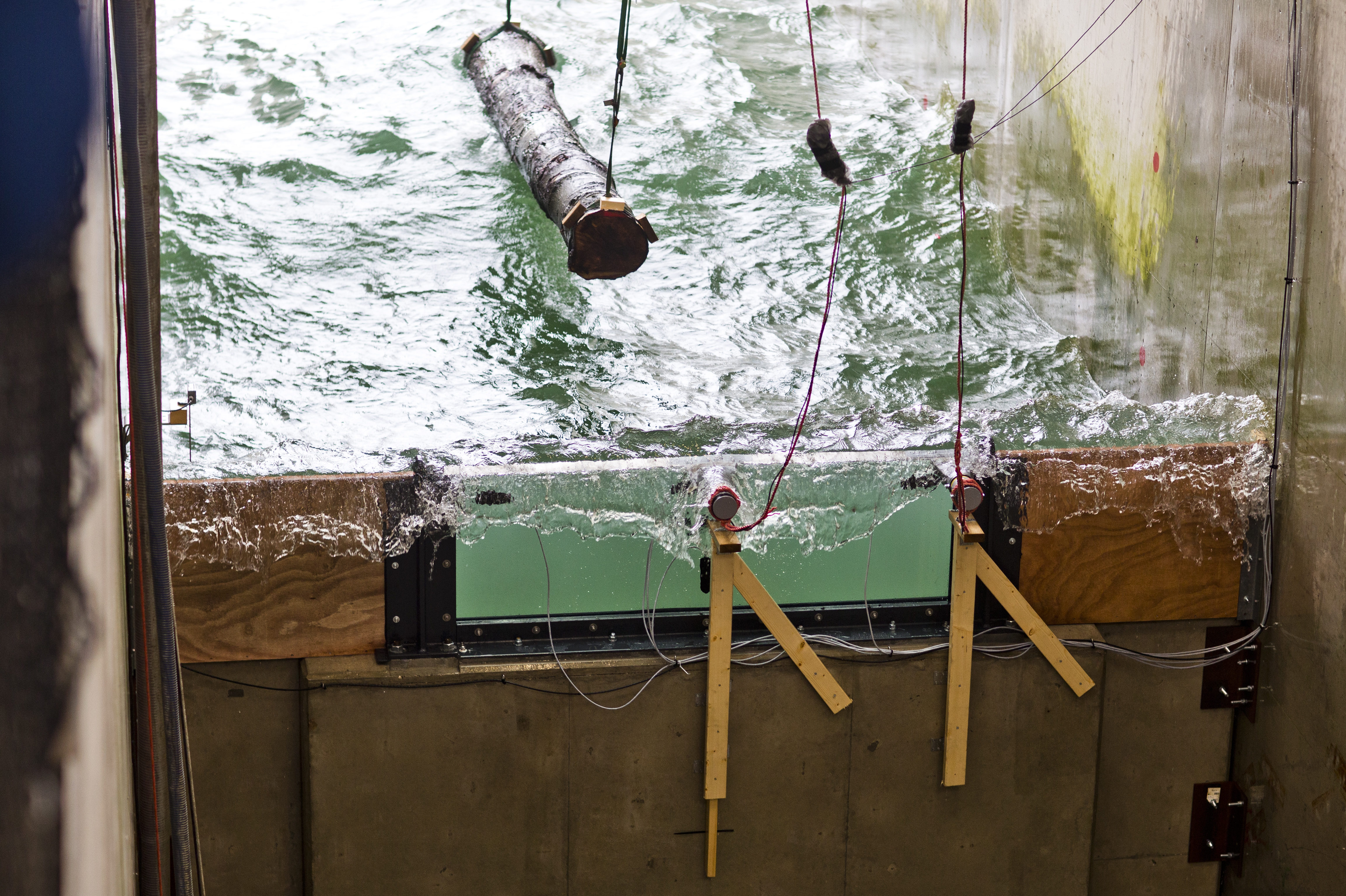 Foto Guus Schoonewille 