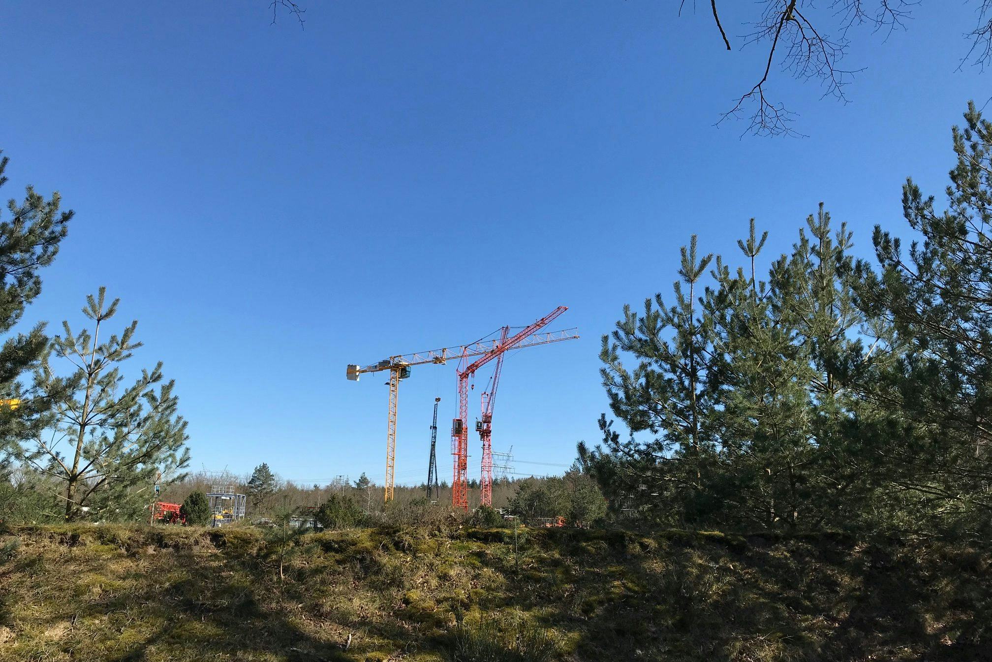 Foto: Thomas van Belzen