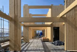 De onvoorspelbare ontdekkingstocht naar houten hoogbouw