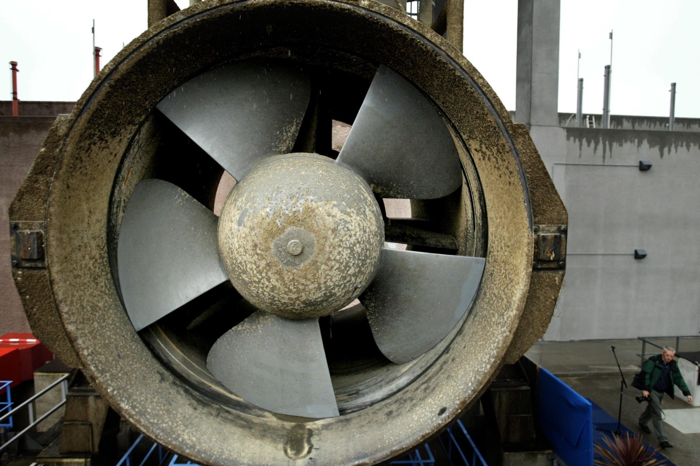 Foto: ANP/DAVID VAN DAM