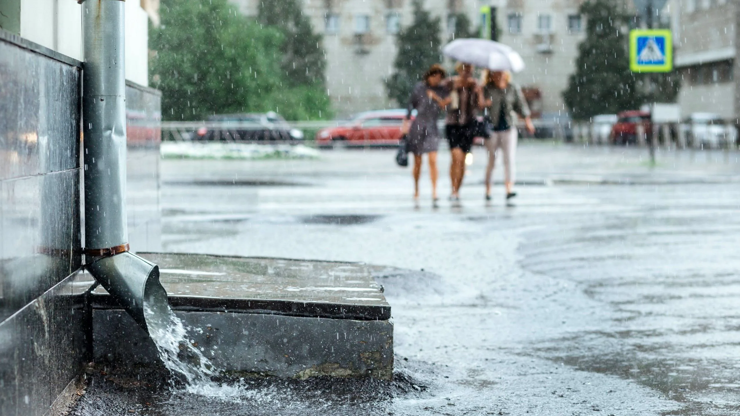 Nederland moet leren slimmer om te gaan met regenwater. Foto: Shutterstock
