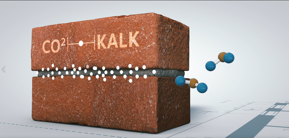 Vandersanden uitbloei