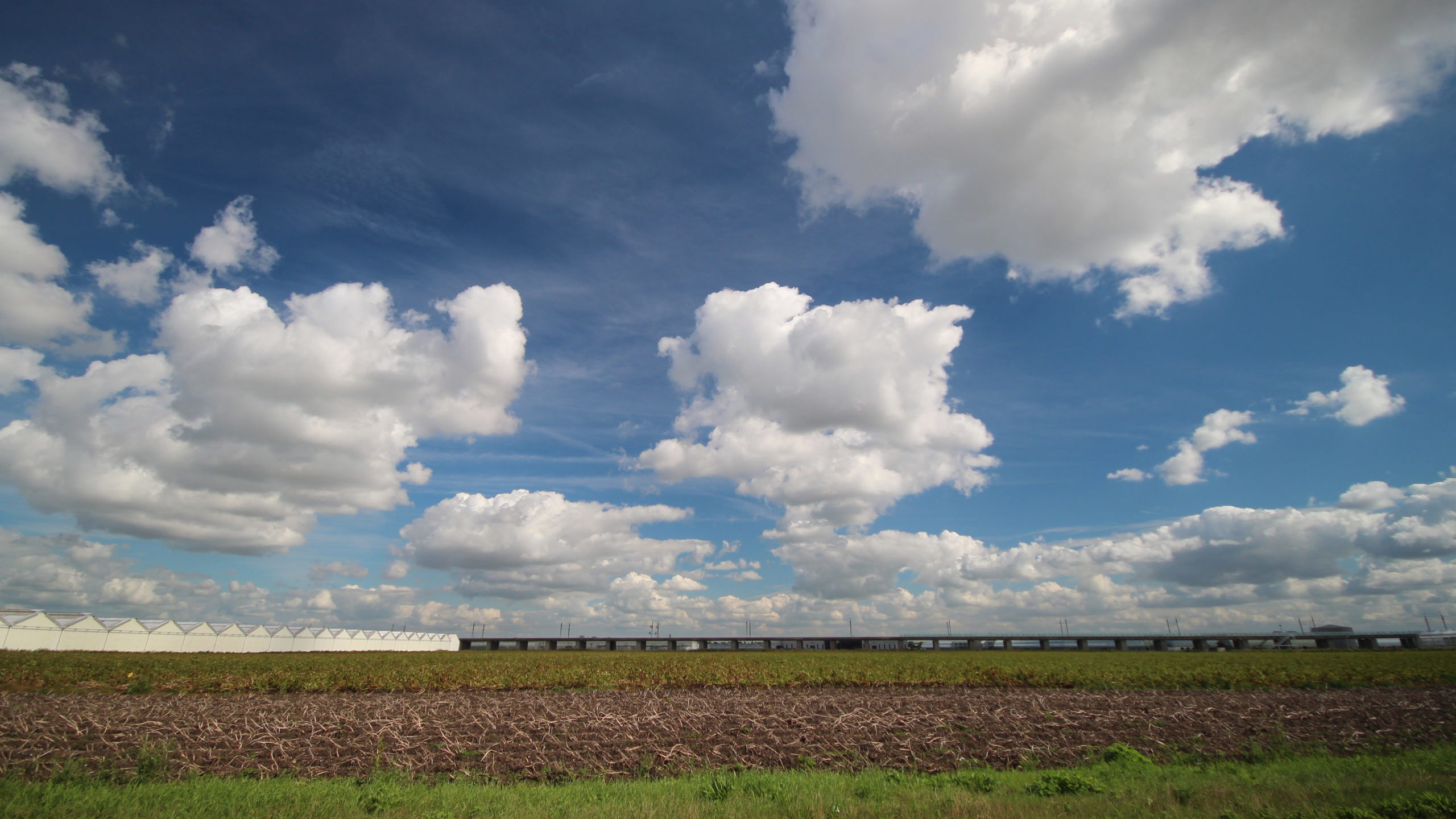 De Zuidplaspolder is een van de locaties waar gebouwd gaat worden. Foto: Shutterstock