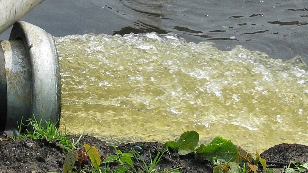 Foto: Gerard Hogervorst/Wikimedia Commons