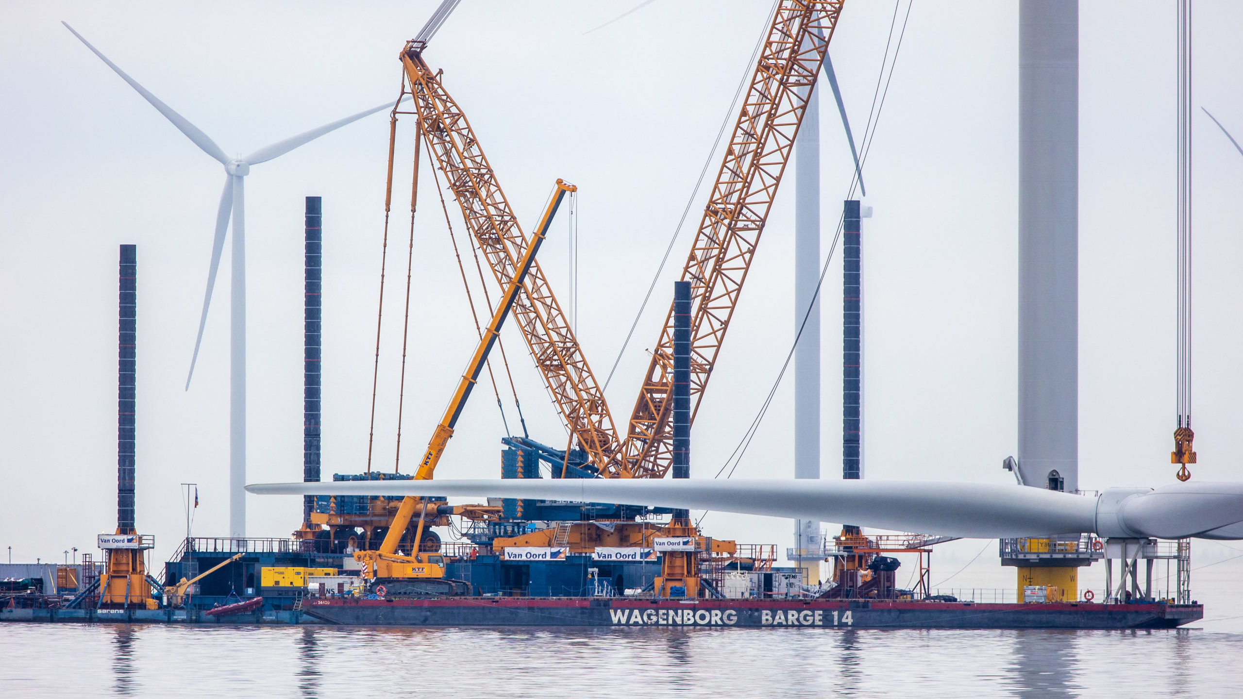 Foto: Niels de Vries.