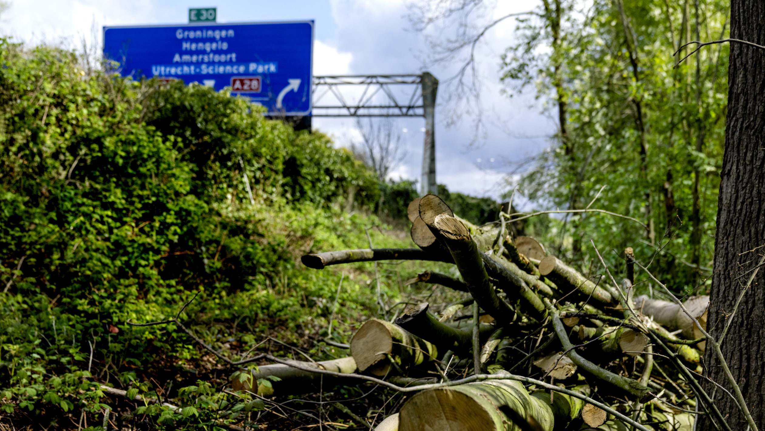 Foto: ANP / Hollandse Hoogte