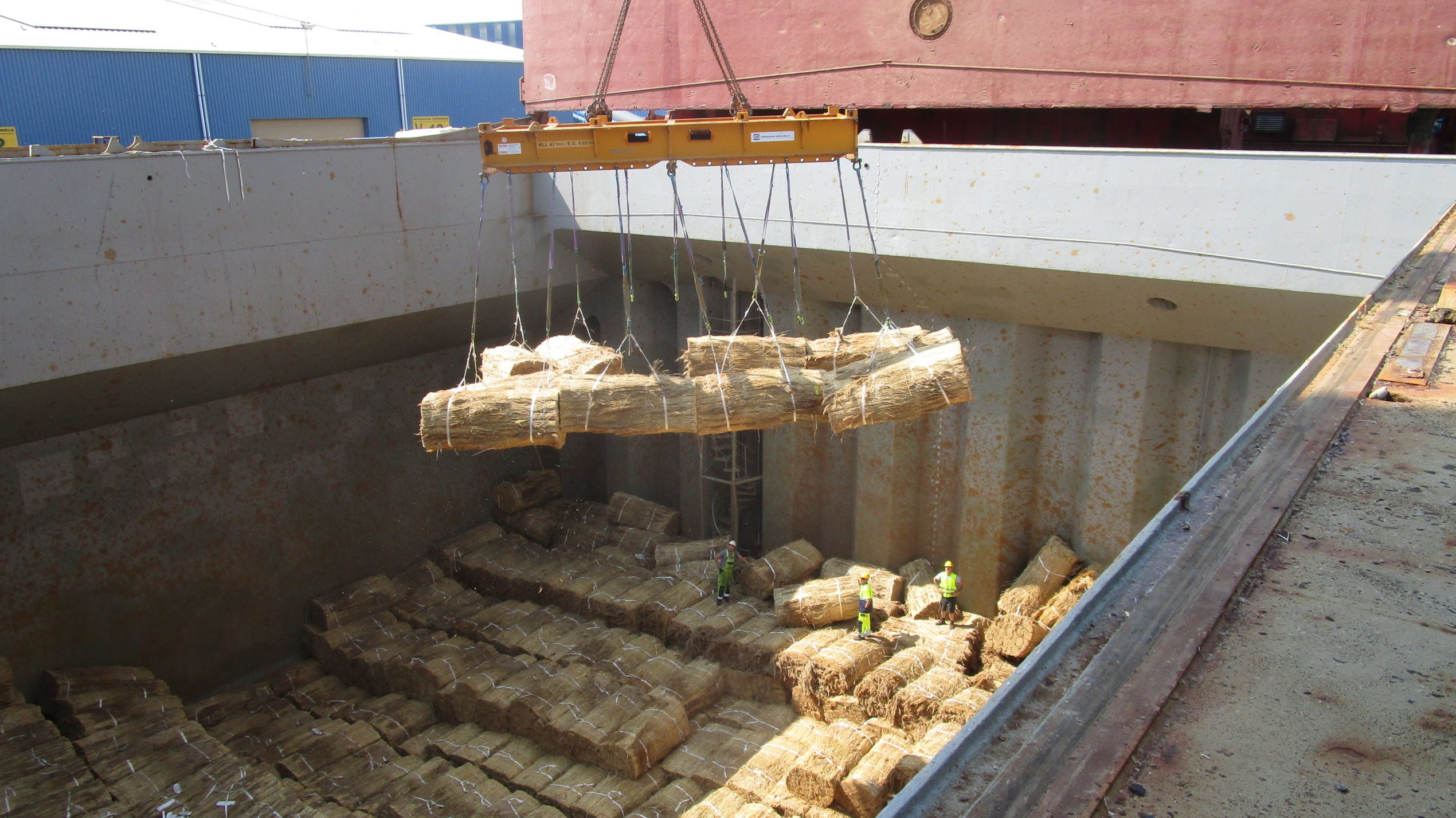 Foto: Vakfederatie Rietdekkers      