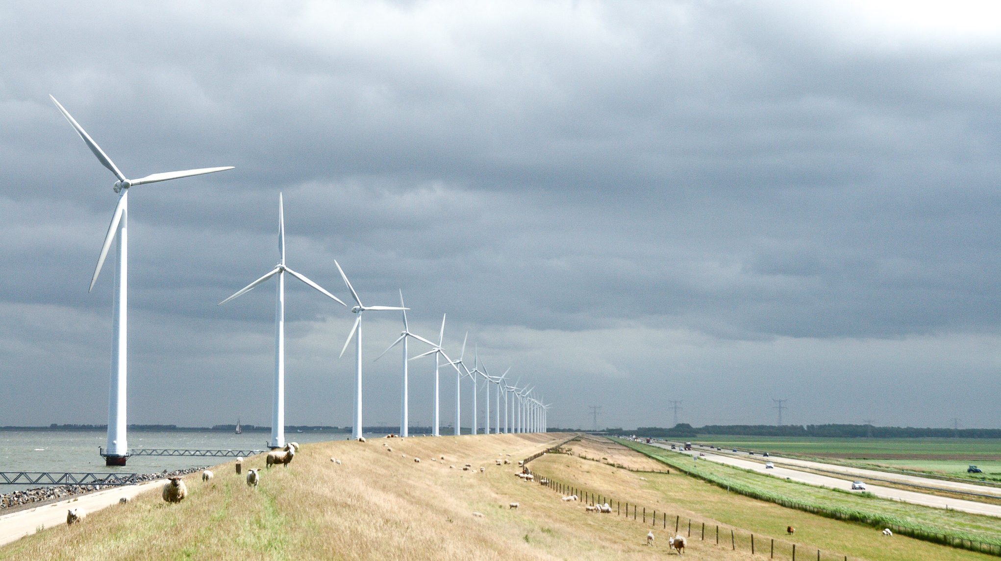 foto: Henk Kouwenhoven