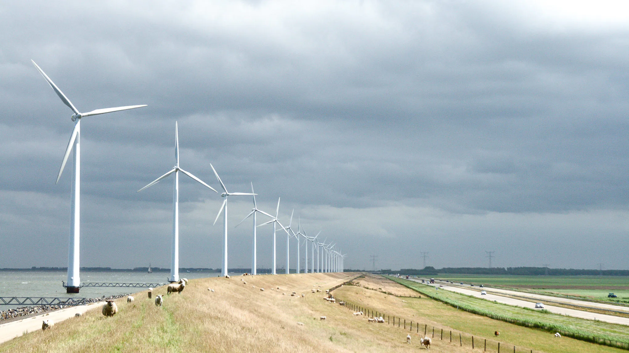 foto: Henk Kouwenhoven