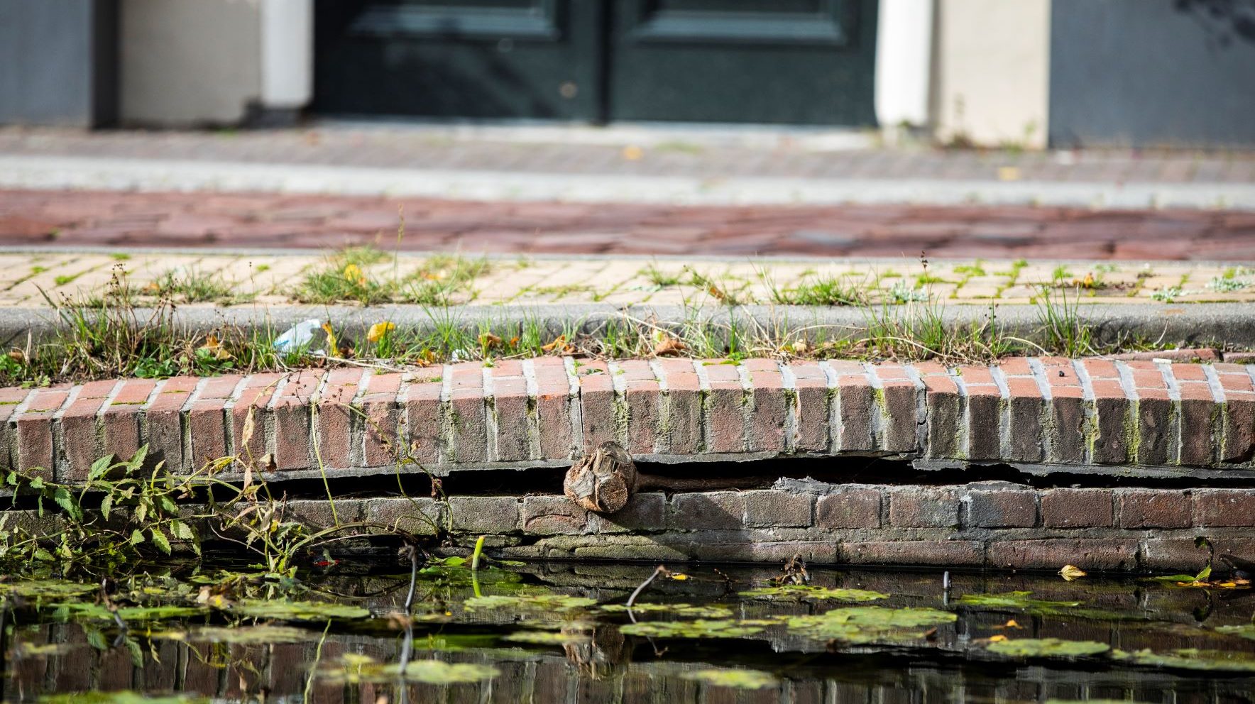 Foto: ANP/HH Laurens van Putten