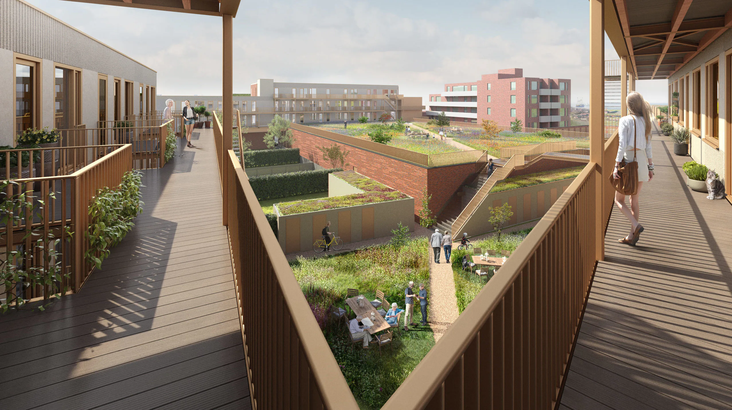 Afbeelding: De Zwarte Hond