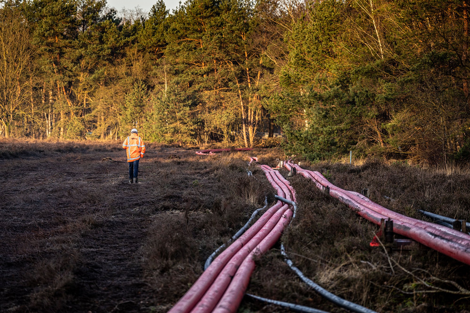 Foto: Chris Pennarts / TenneT