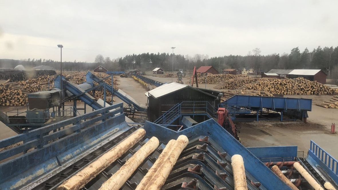 Een voorraad hout bij een houtzagerij in Zweden. Foto: Tom Diderich