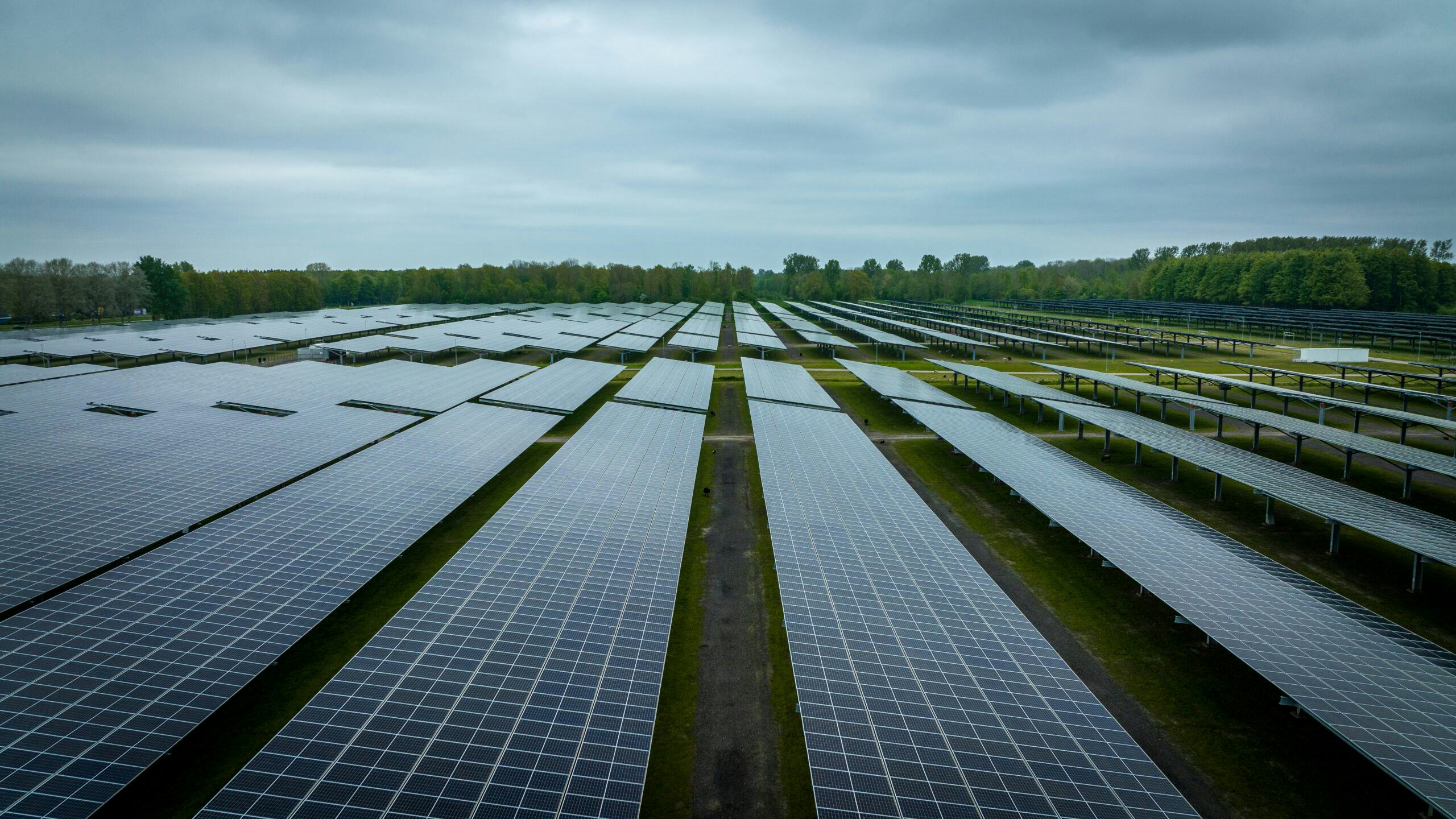 Nederland oogst haar zonne-energie voorlopig vooral op daken en in weilanden