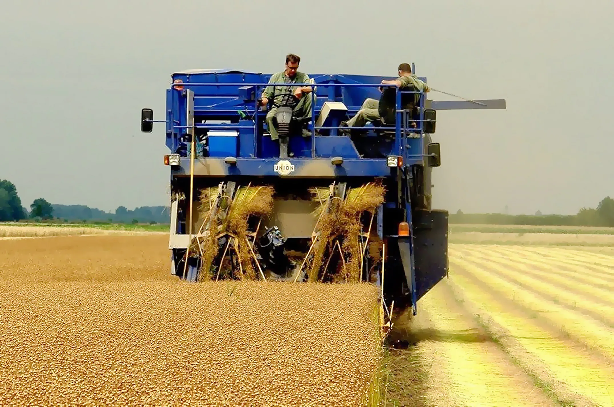 Vlas is een akkerbouwgewas dat uitstekend groeit op de kleigronden van Nederland, België en Noord-Frankrijk en zich prima leent als isolerende kern voor scheidingswanden.