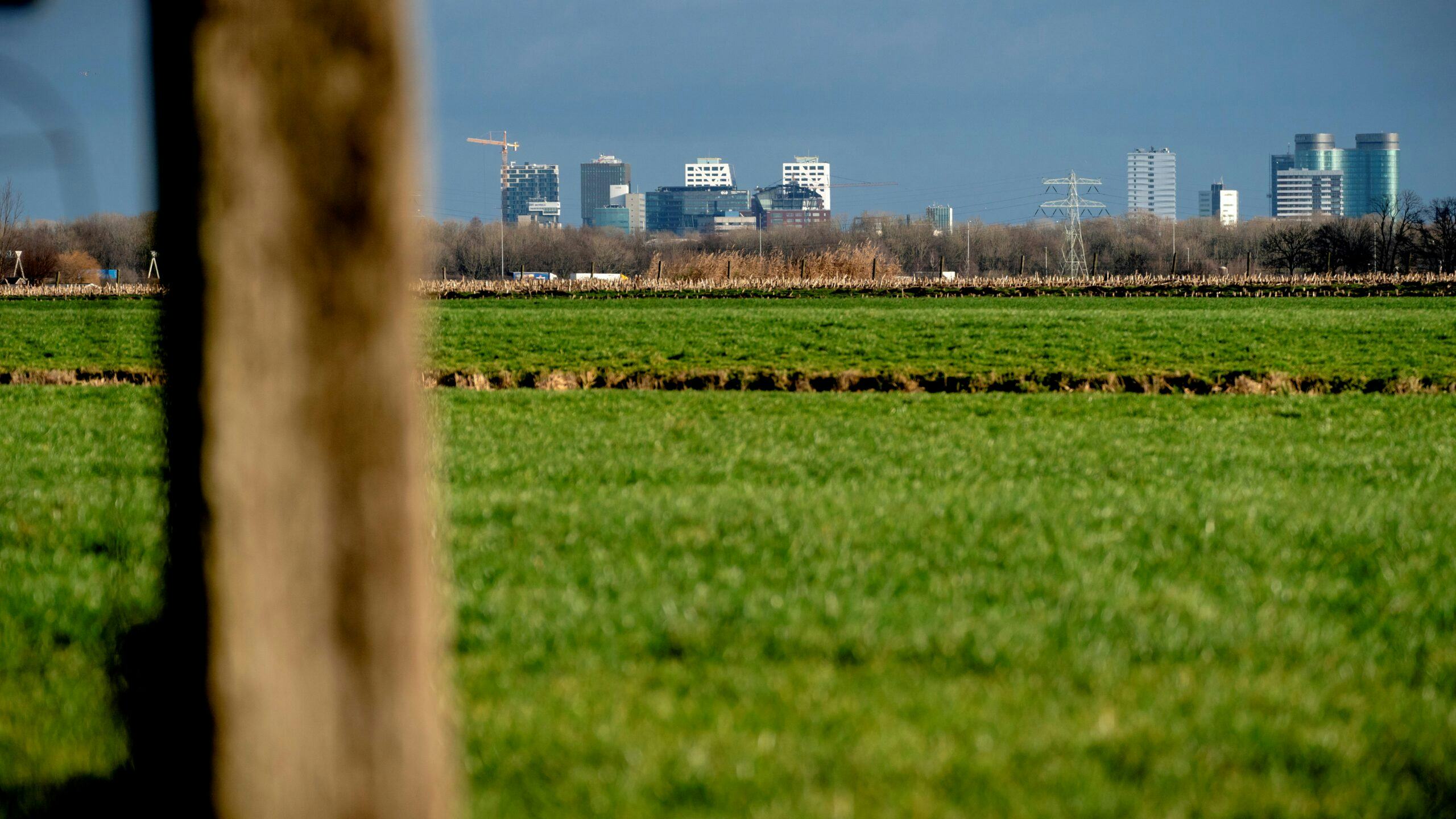 De Rijnenburgpolder bij Utrecht, waar vooral betaalbare woningen moeten komen. Foto: ANP