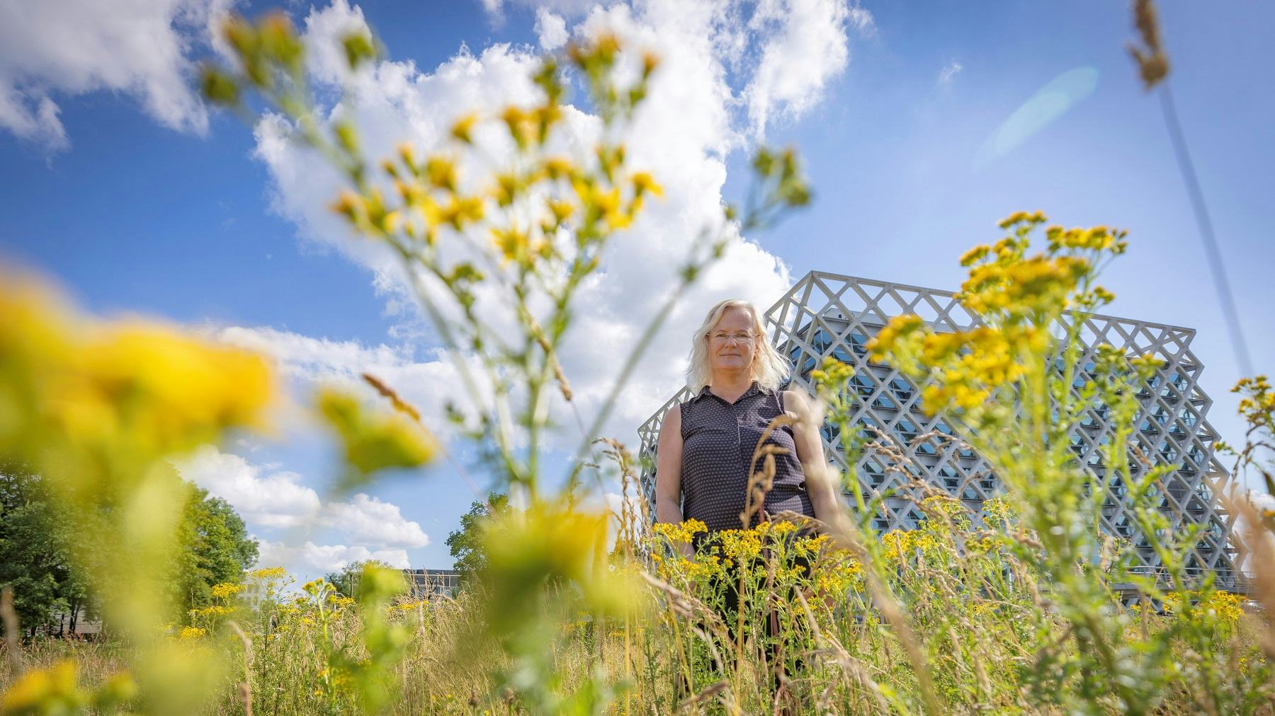 Foto: Sjef Prins - APA Foto