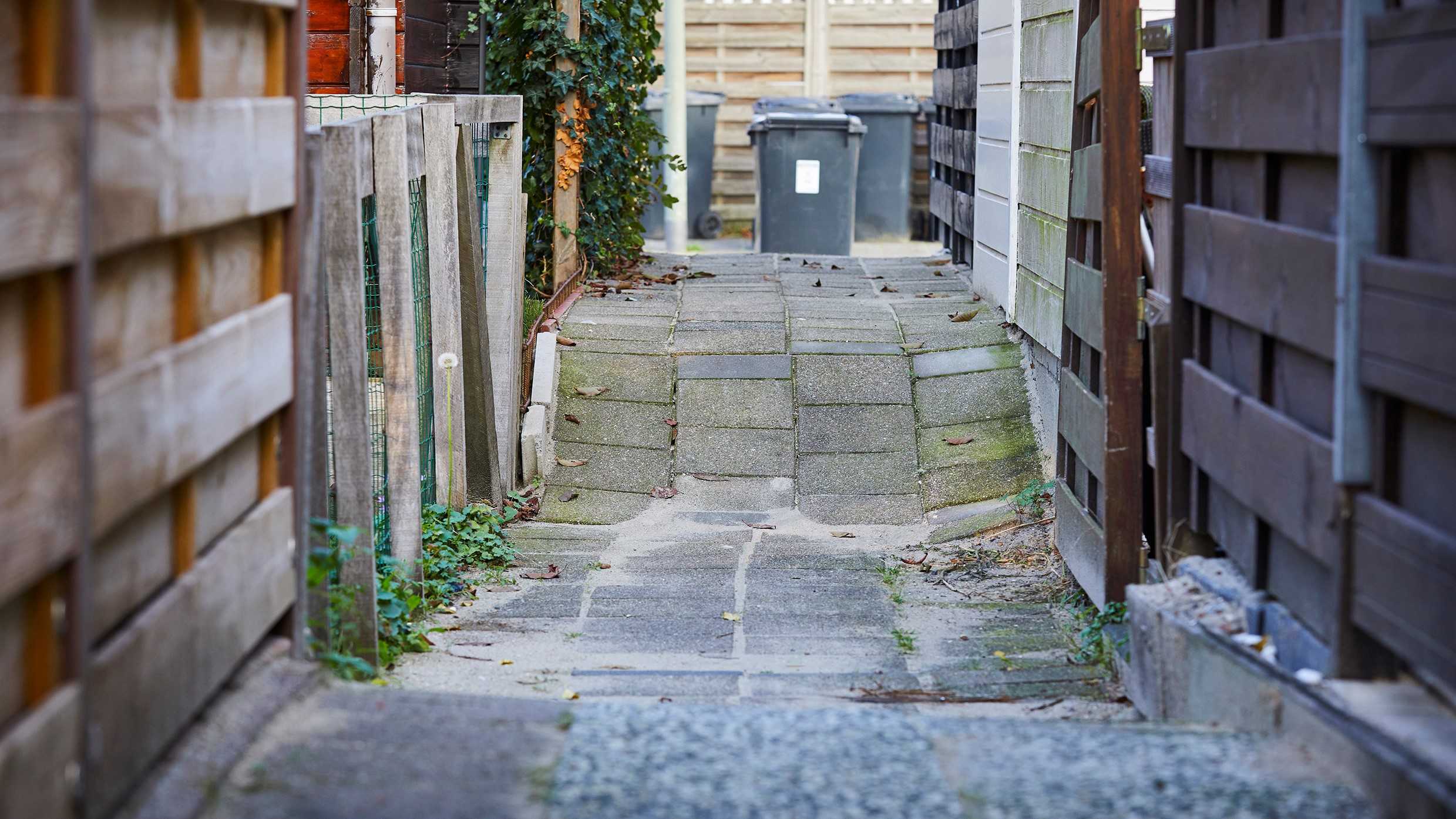 Foto: : Vincent Basler Fotografie