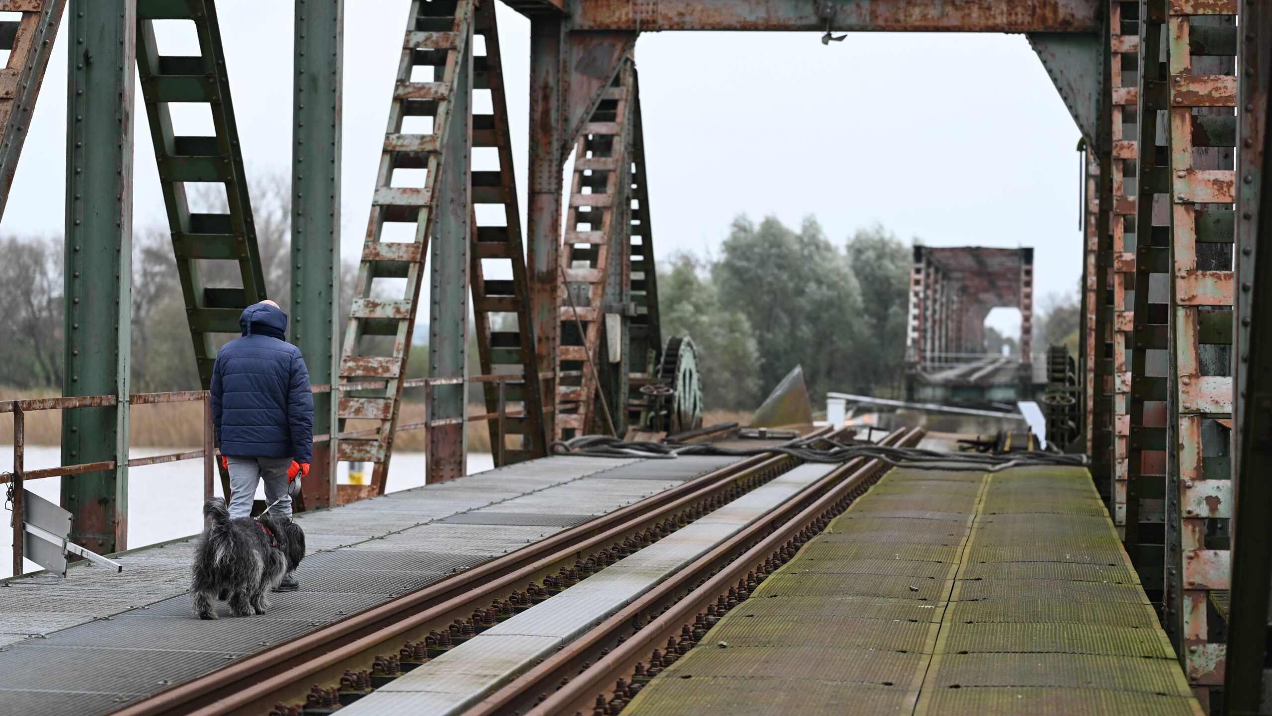 Foto: ANP / Mohssen Assanimoghaddam