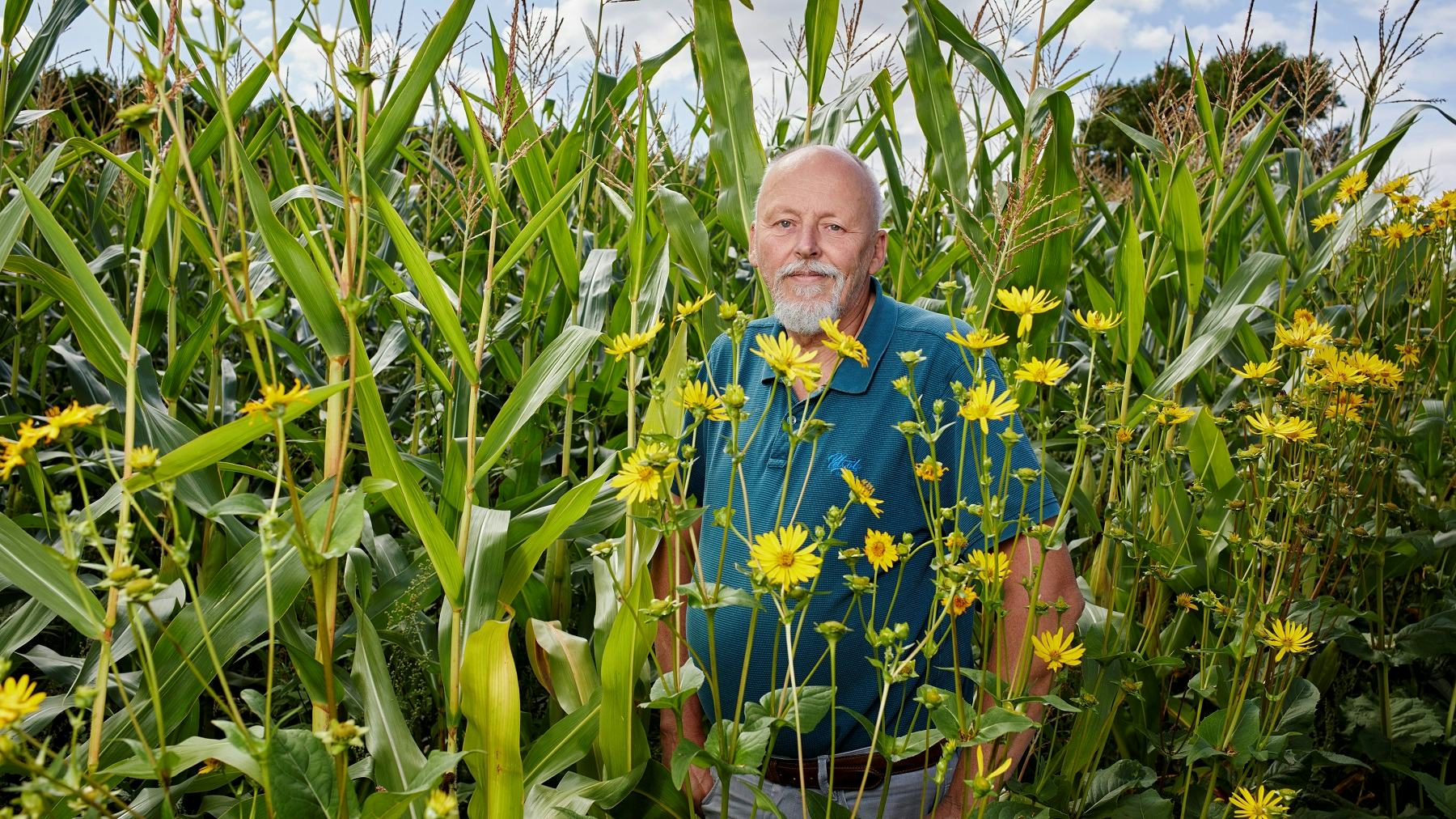 Deze boer ziet in zonnekroon een uitstekend isolatiemateriaal. Foto: Christiaan Krouwels